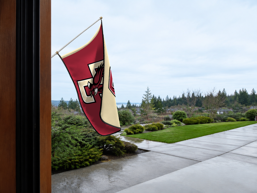 Boston College Eagles Authentic Gameday Flag — approved one-scene environment view — EXO R89 — item_id=ncaa-fbs-boston-college-eagles — source_sha256=85111a53ffd4411dbfed5456f960139a47422e3798dfd23d1999e738c8c52877