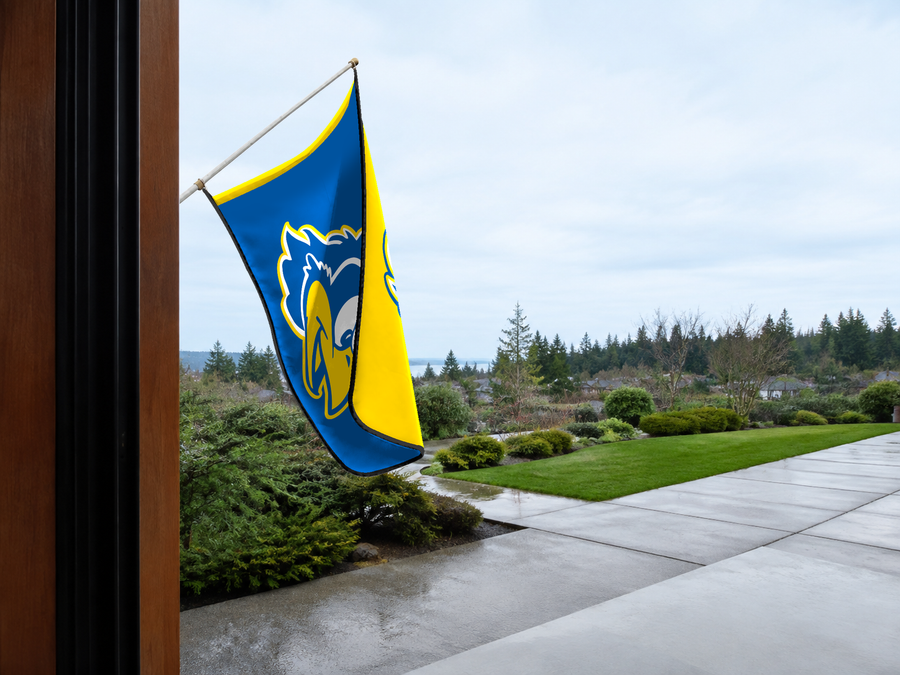 Delaware Blue Hens Authentic Gameday Flag — approved one-scene environment view — EXO R89 — item_id=ncaa-fbs-delaware-blue-hens — source_sha256=82223be672cc5143e07c3127da70f620b599416fce467b8e3c2b1b8c604dbe60