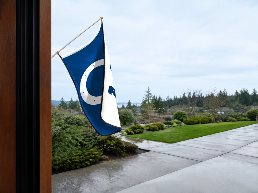 Indianapolis Colts Authentic Gameday Flag — approved one-scene environment view — EXO R89 — item_id=nfl-indianapolis-colts — source_sha256=8bc4d84851f6577686f4f80874b6d312aba2e4e7516aa6754b1c5566d1535337