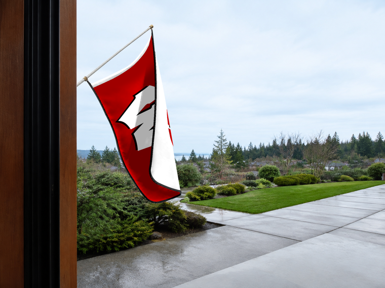 Wisconsin Badgers Authentic Gameday Flag — approved one-scene environment view — EXO R89 — item_id=ncaa-fbs-wisconsin-badgers — source_sha256=4f2257a06445ee35995b01ab3ba3c65747c966bcdff9572f51def27e361ef8e8