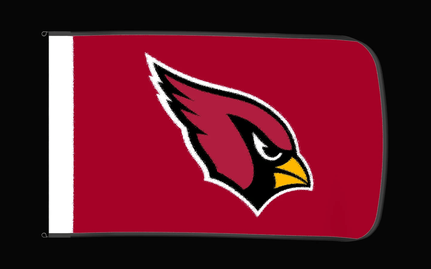 EXO rotating product view — Arizona Cardinals Authentic Gameday Flag — controlled catalog turntable