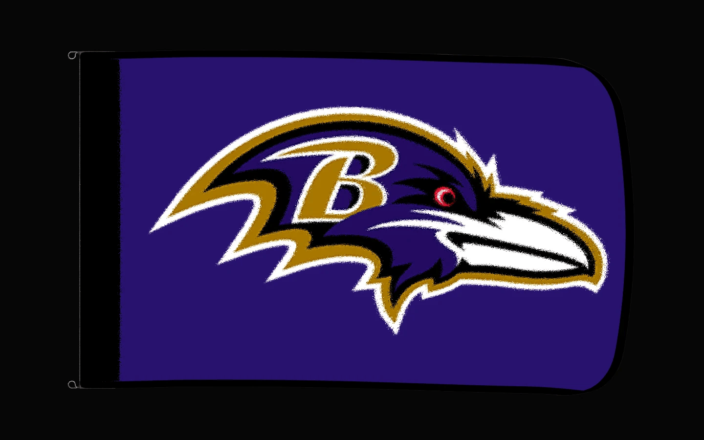 EXO rotating product view — Baltimore Ravens Authentic Gameday Flag — controlled catalog turntable