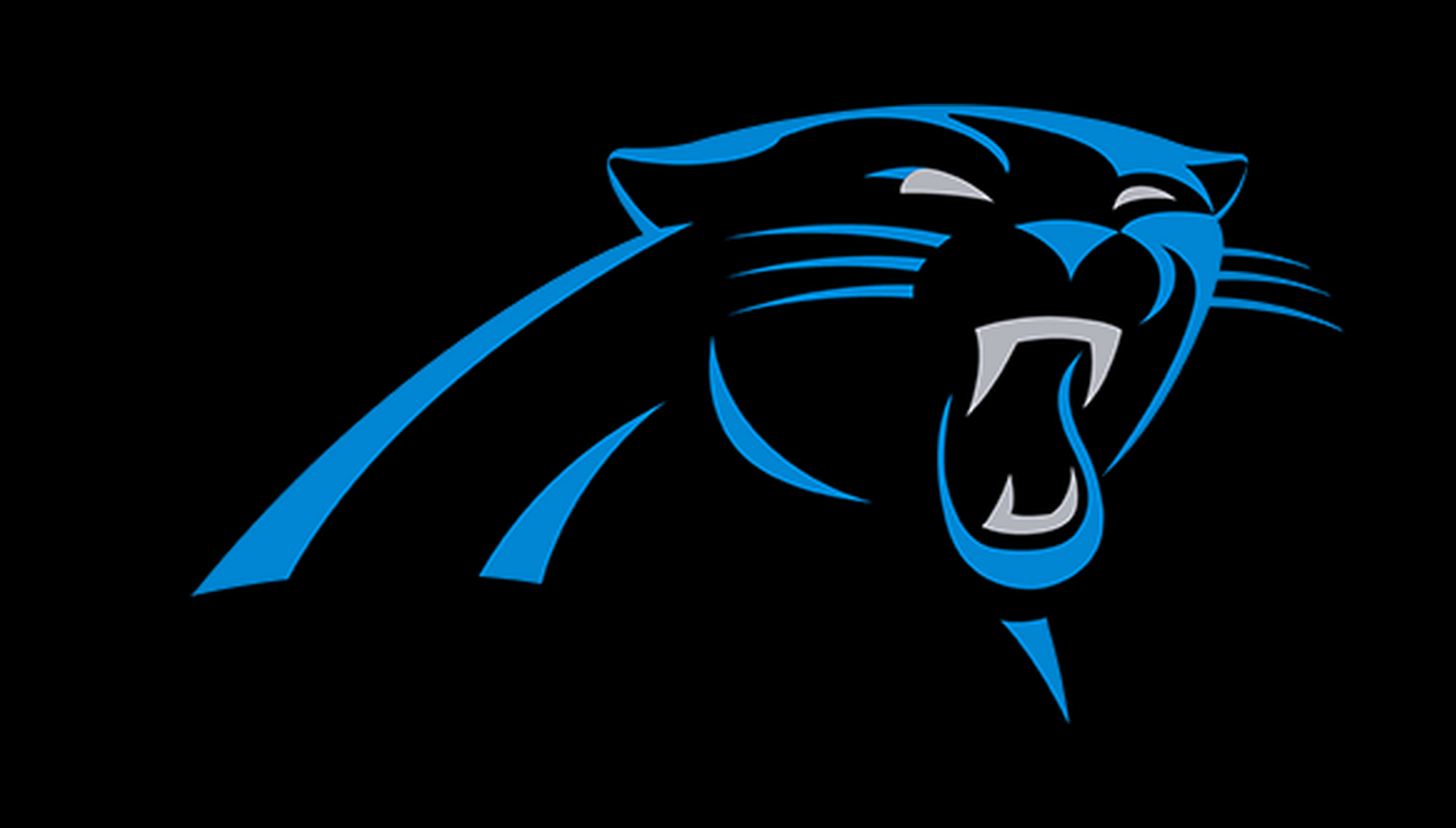 /carolina-panthers | Carolina Panthers | Side B mirrored catalog field — source_sha256=d0025ec540240ee610cfd60234bd04b23c3486db6573ea39849dee5536de44d6