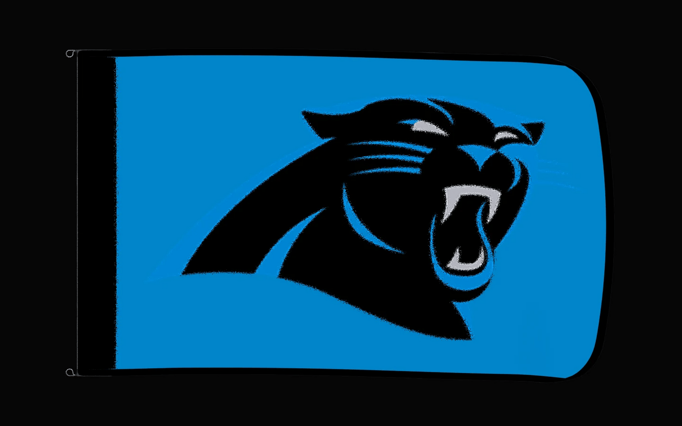 EXO rotating product view — Carolina Panthers Authentic Gameday Flag — controlled catalog turntable