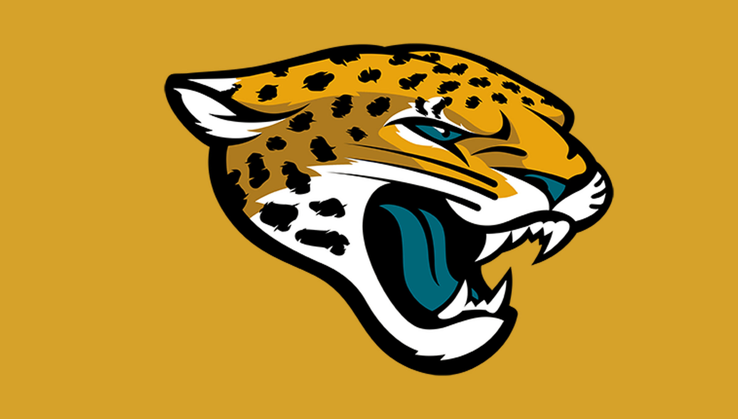 /jacksonville-jaguars | Jacksonville Jaguars | Side B mirrored catalog field — source_sha256=d9be67e23c8ae58c9932b9e7c6d851bd5db437fa1eb137b99d6c44c73bd17c43