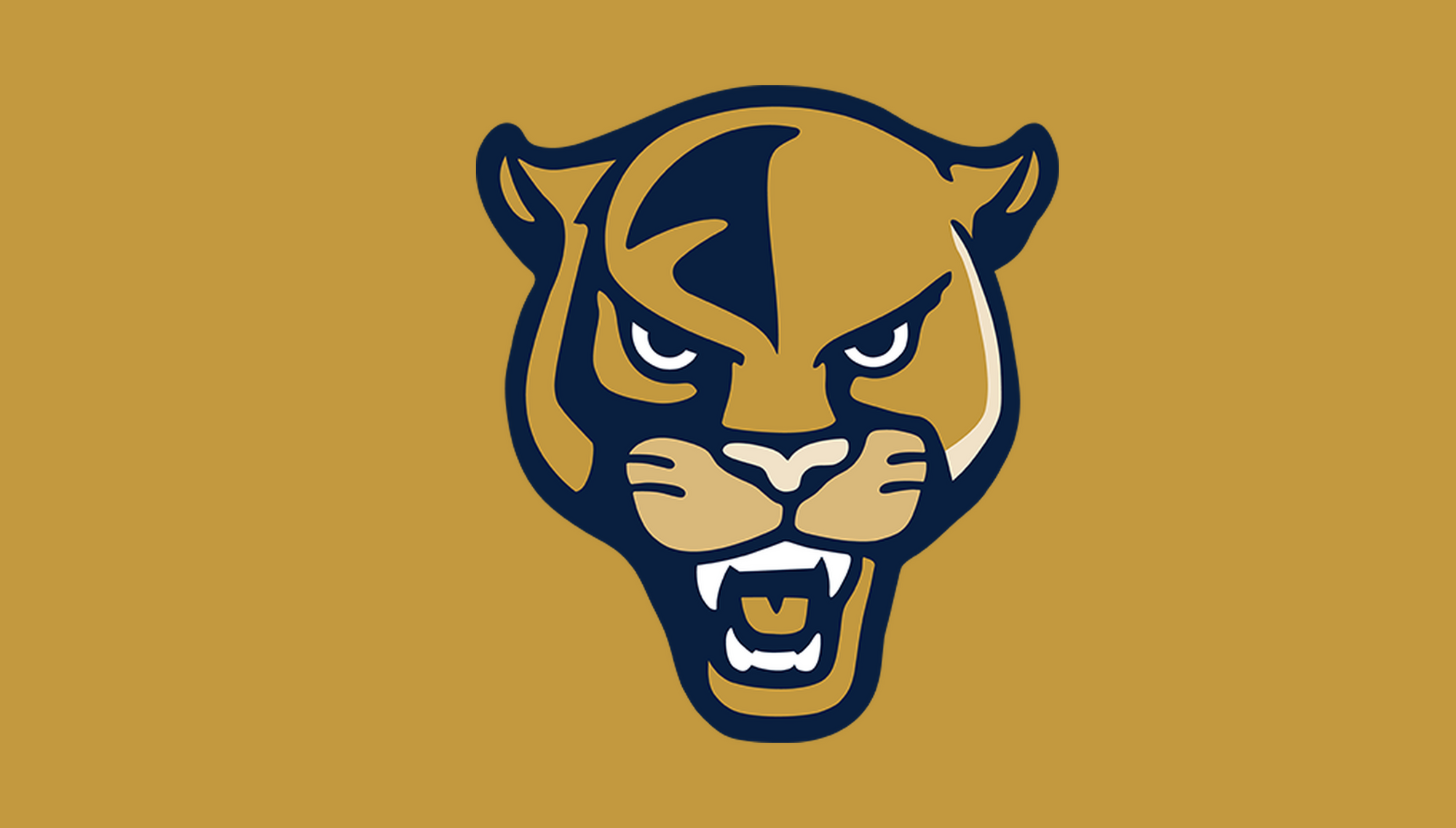 gameday-ncaa-fbs-2026-138-r01/ncaa-fbs-florida-international-panthers | Florida International Panthers | Side B mirrored catalog field — source_sha256=4c8611ce35ca8f7d6ded3acbc4b1fdcadd6648653a992c346f8a7f044673918c