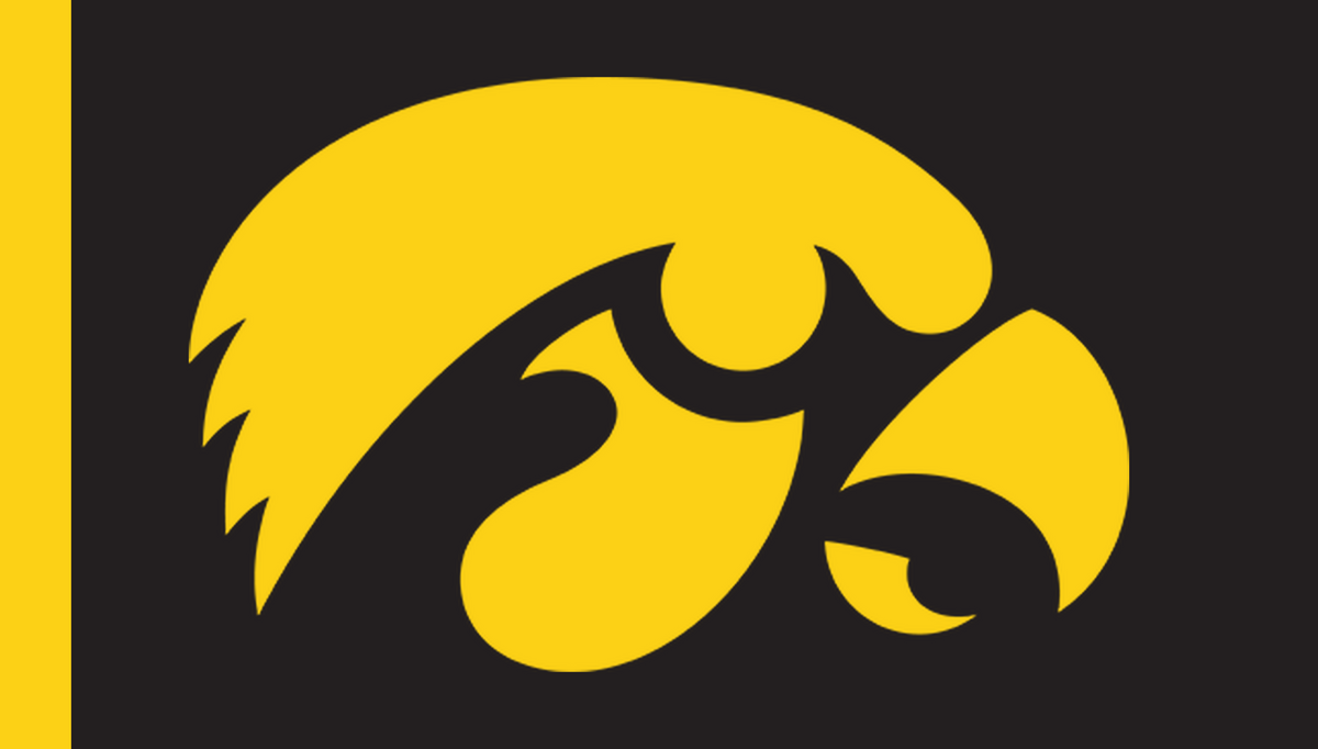 gameday-ncaa-fbs-contrast-corrections-r17/ncaa-fbs-iowa-hawkeyes | Iowa Hawkeyes | Side A catalog field — source_sha256=f5b4783e392d62f6e8dd94d5803c20ea906d2814c3995f9683a951cd7675e573