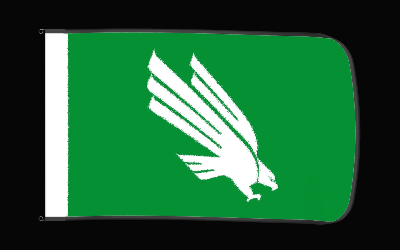 EXO rotating product view — North Texas Mean Green Authentic Gameday Flag — controlled catalog turntable