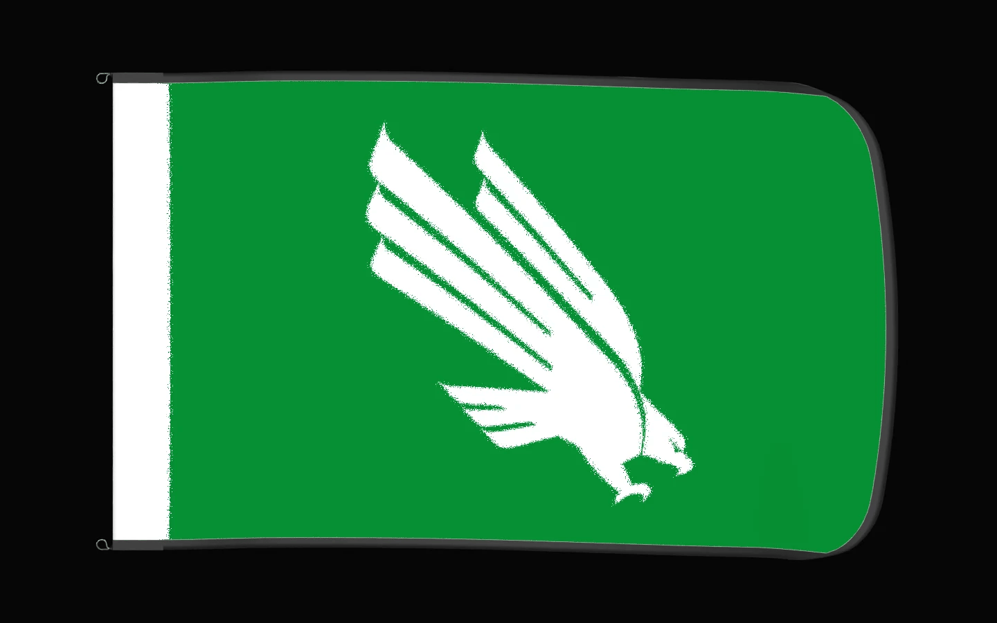 EXO rotating product view — North Texas Mean Green Authentic Gameday Flag — controlled catalog turntable