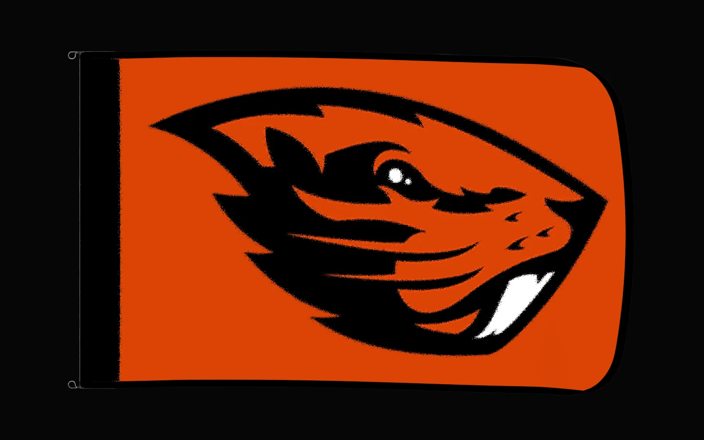 EXO rotating product view — Oregon State Beavers Authentic Gameday Flag — controlled catalog turntable