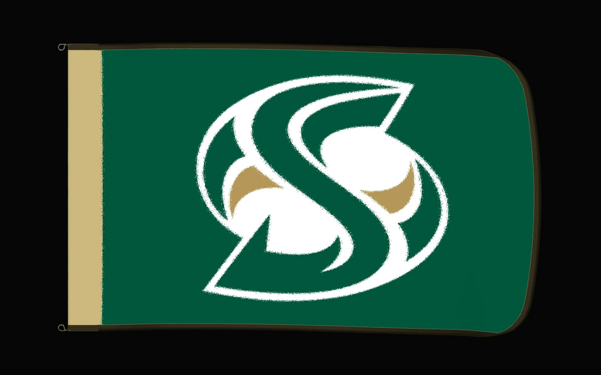 EXO rotating product view — Sacramento State Hornets Authentic Gameday Flag — controlled catalog turntable
