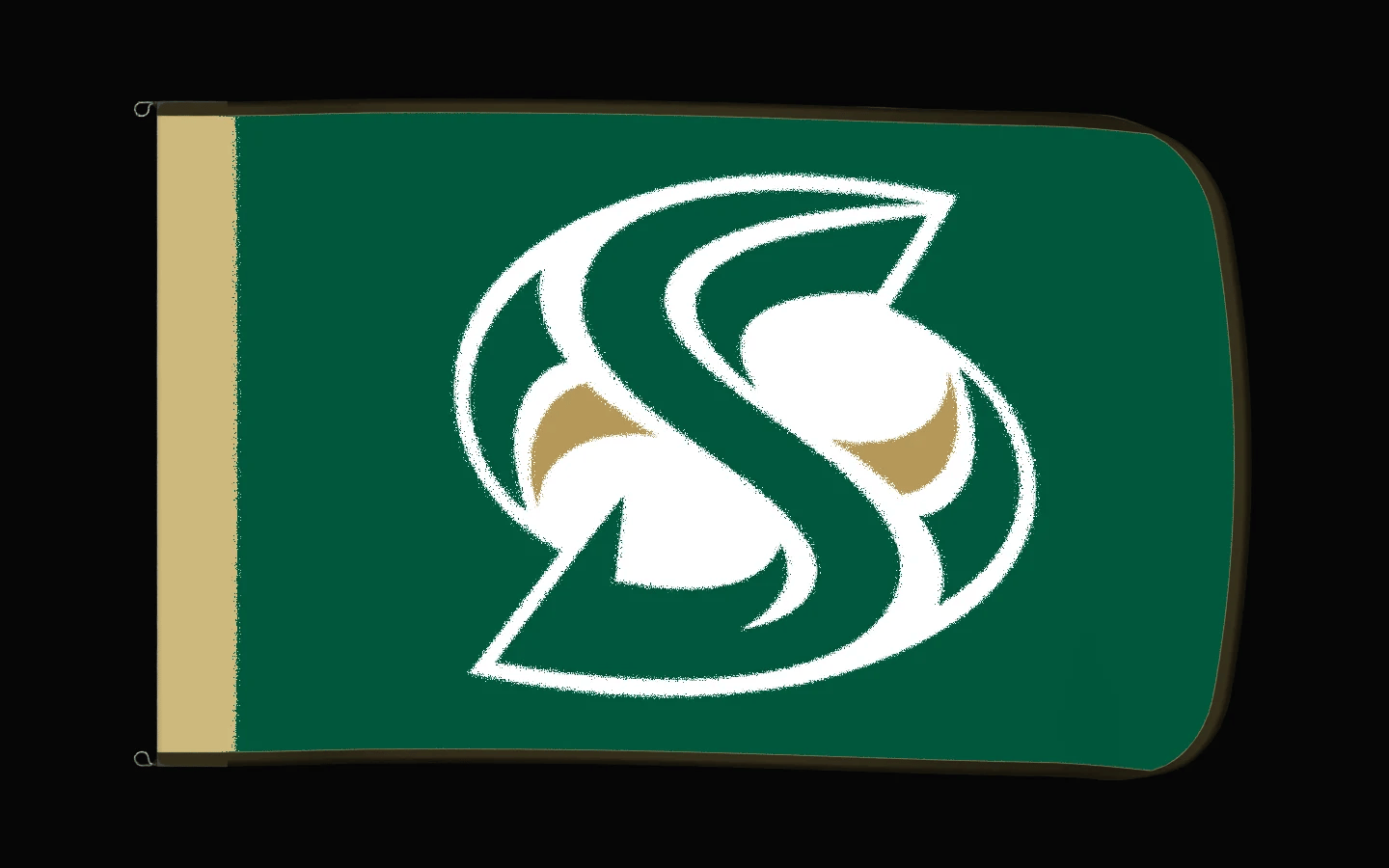 EXO rotating product view — Sacramento State Hornets Authentic Gameday Flag — controlled catalog turntable