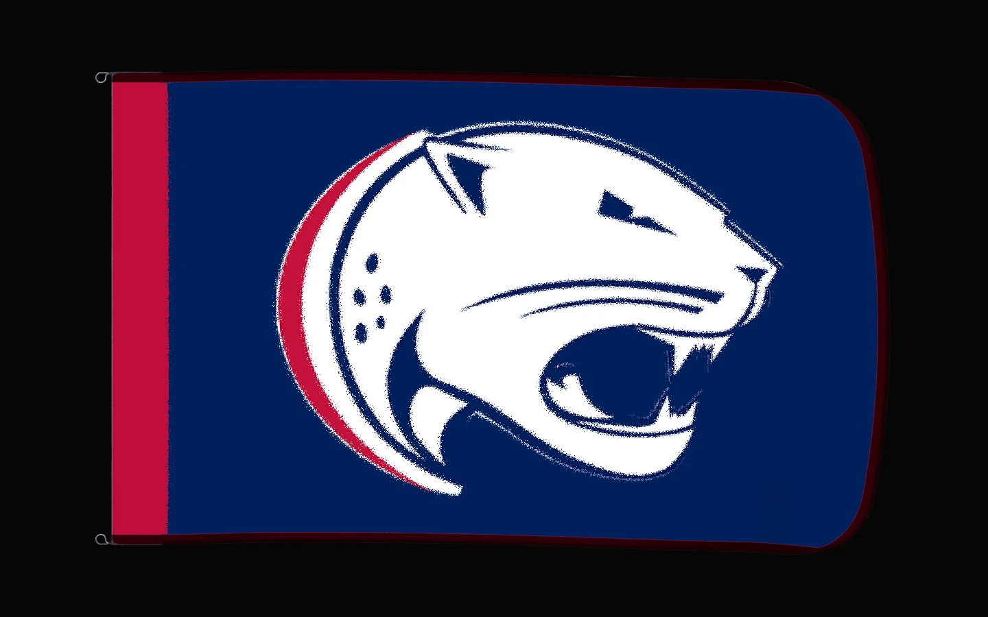 EXO rotating product view — South Alabama Jaguars Authentic Gameday Flag — controlled catalog turntable