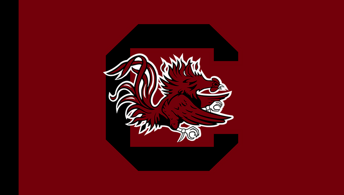 gameday-ncaa-fbs-2026-138-r01/ncaa-fbs-south-carolina-gamecocks | South Carolina Gamecocks | Side A catalog field — source_sha256=7d2244a8de2da4e8528fa6d01361aa740a485ca090c7e7e0370afb641e99fd74