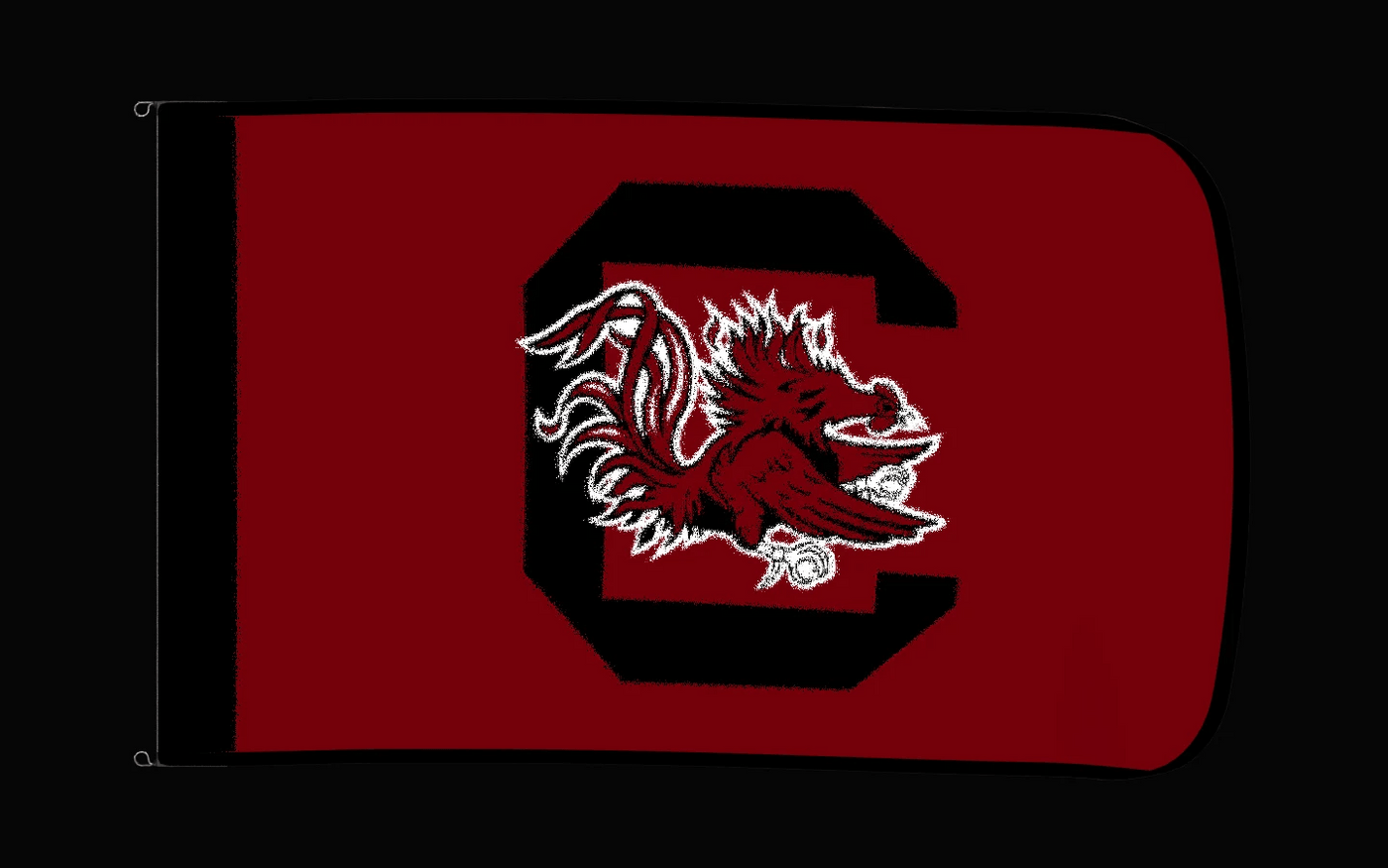 EXO rotating product view — South Carolina Gamecocks Authentic Gameday Flag — controlled catalog turntable