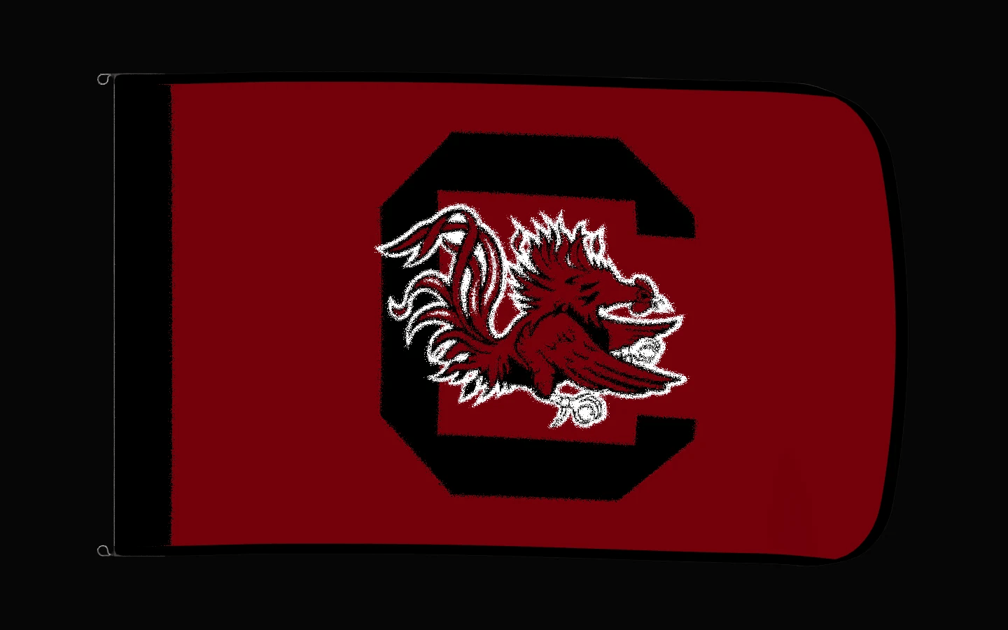 EXO rotating product view — South Carolina Gamecocks Authentic Gameday Flag — controlled catalog turntable