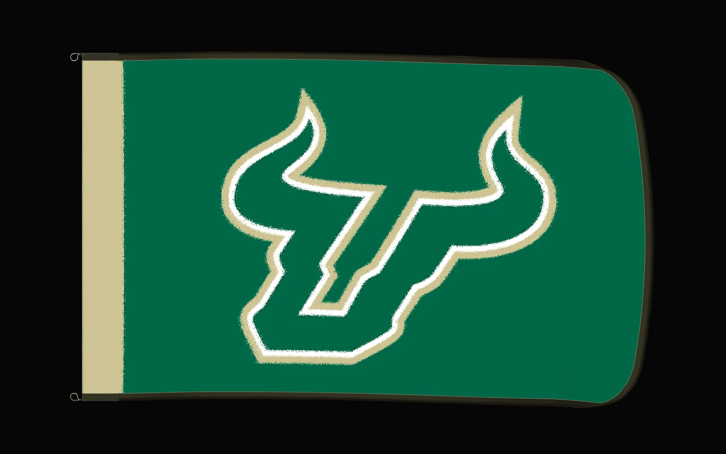 EXO rotating product view — South Florida Bulls Authentic Gameday Flag — controlled catalog turntable