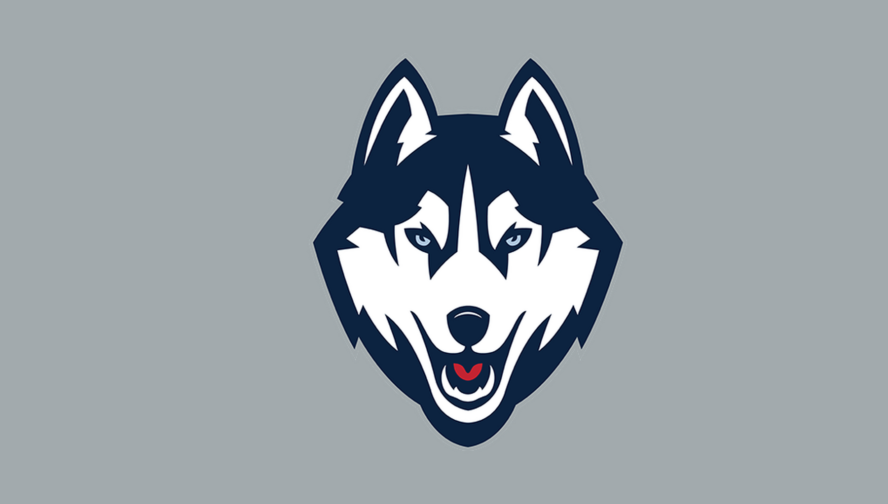 gameday-ncaa-fbs-2026-138-r01/ncaa-fbs-uconn-huskies | UConn Huskies | Side B mirrored catalog field — source_sha256=d97eac3916dca3b8deffdf9ef0cfd310ddc53d31ab7278f51a0d98e5479e9d3e