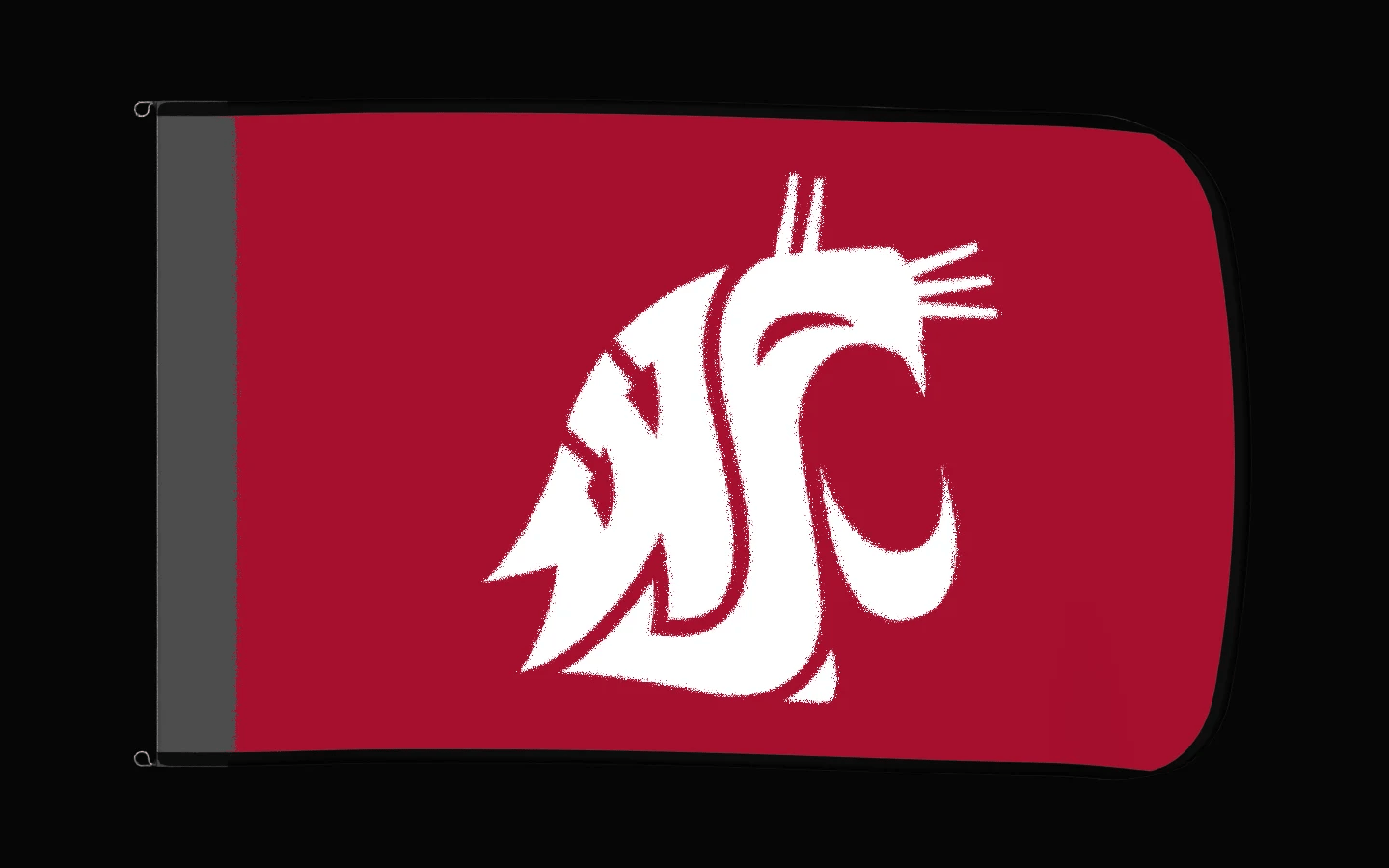 EXO rotating product view — Washington State Cougars Authentic Gameday Flag — controlled catalog turntable