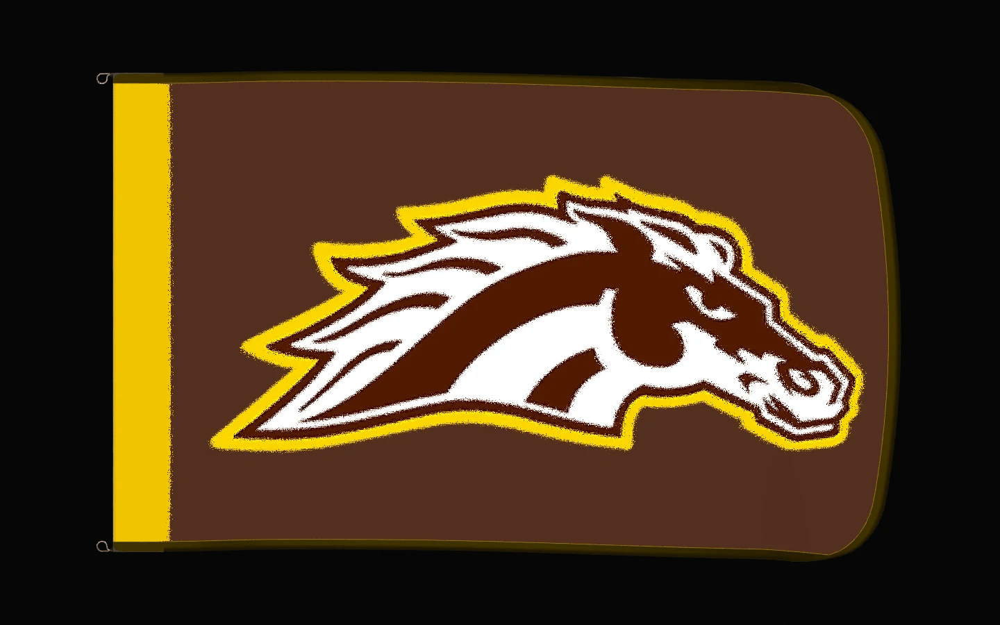 EXO rotating product view — Western Michigan Broncos Authentic Gameday Flag — controlled catalog turntable