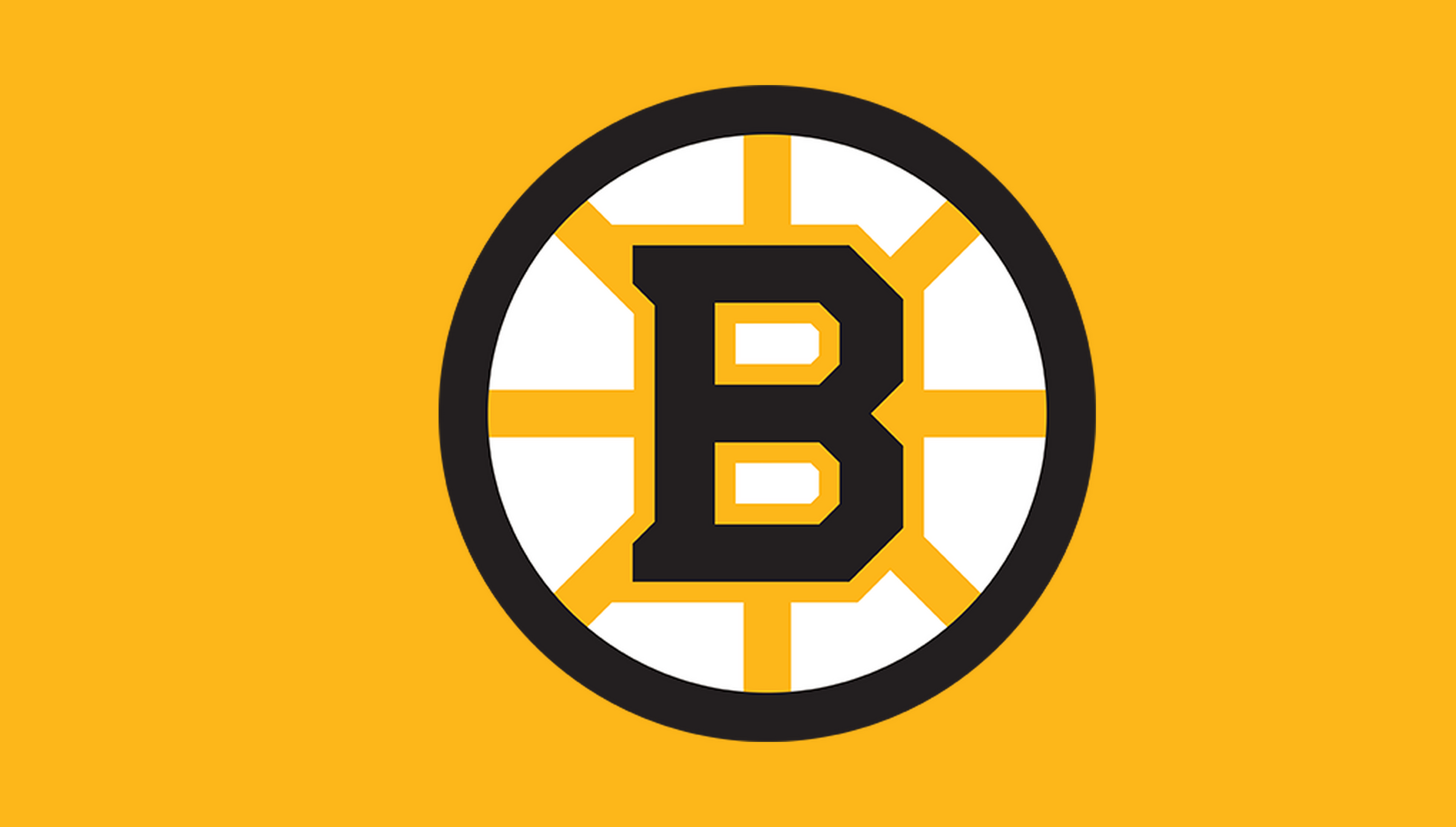 gameday-nhl-current-r01/nhl-boston-bruins | Boston Bruins | Side B mirrored catalog field — source_sha256=48400a4f289086b0f9e31e7f528134a33681617bfaace54dd15808b5eb2b7a89