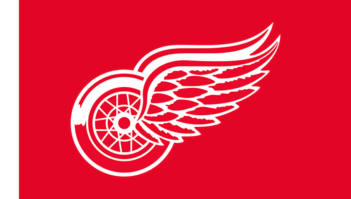 gameday-nhl-current-r01/nhl-detroit-red-wings | Detroit Red Wings | Side A catalog field — source_sha256=117d9a25e1422523b7e6008f2633aef1b4111911b7482cf3be41cb7e6fc6dc55