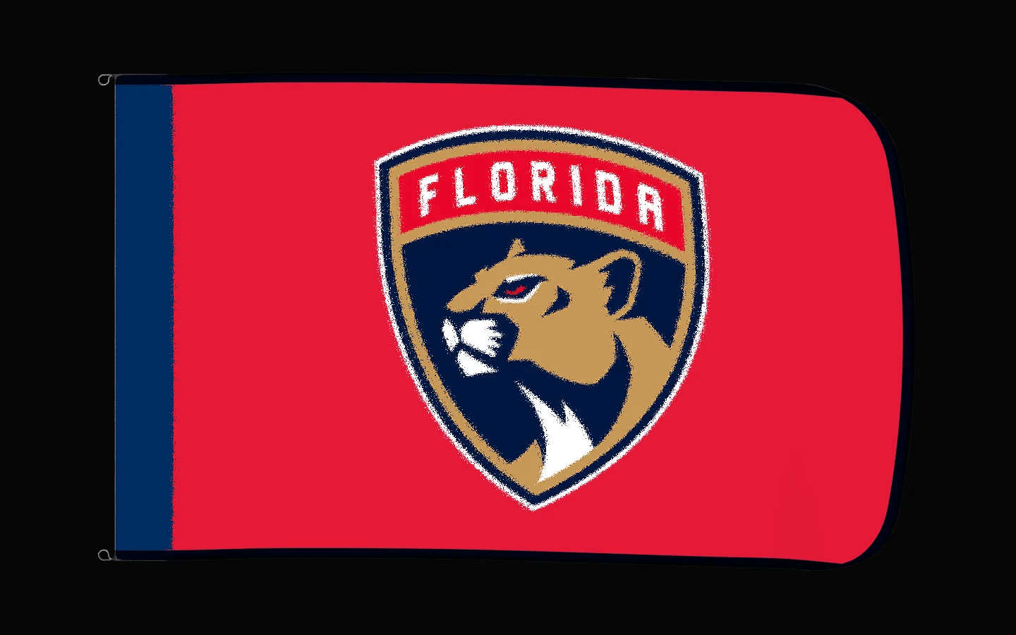 EXO rotating product view — Florida Panthers Authentic Gameday Flag — controlled catalog turntable