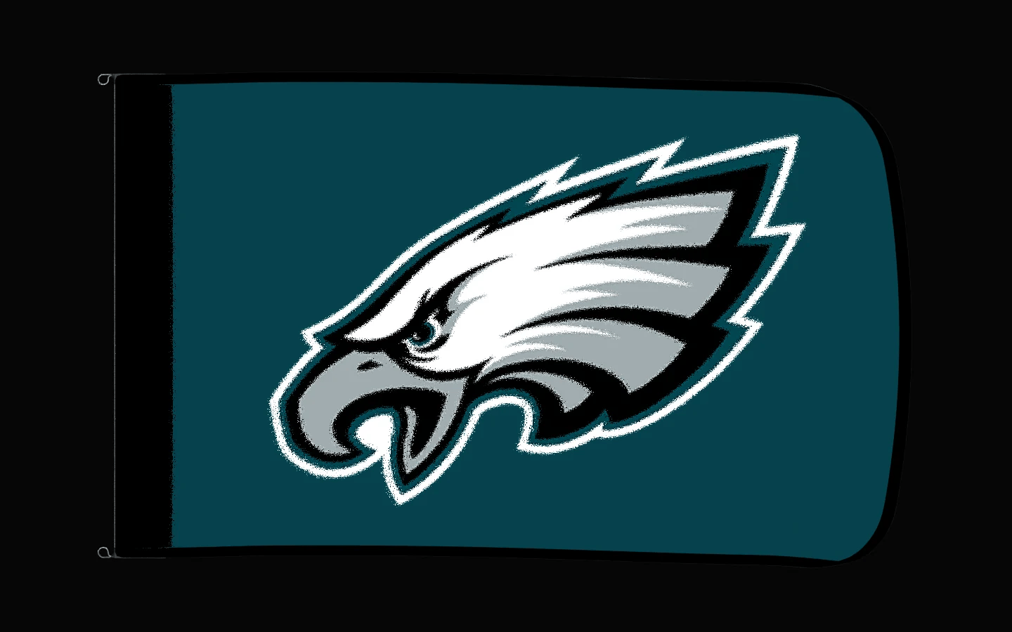 EXO rotating product view — Philadelphia Eagles Authentic Gameday Flag — controlled catalog turntable