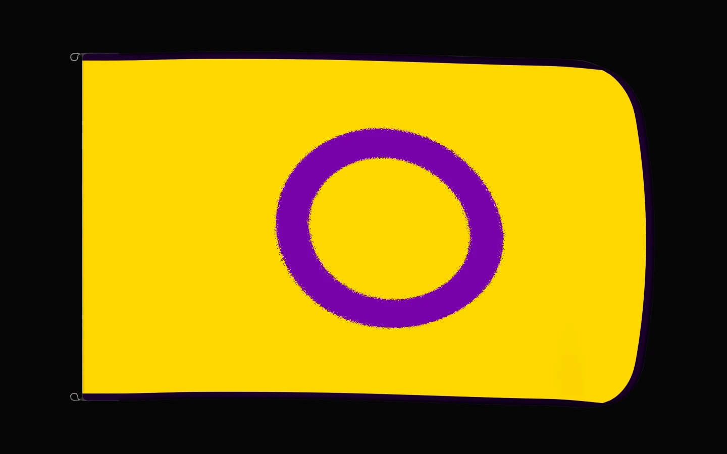 EXO rotating product view — Intersex Flag Authentic Gameday Flag — controlled catalog turntable