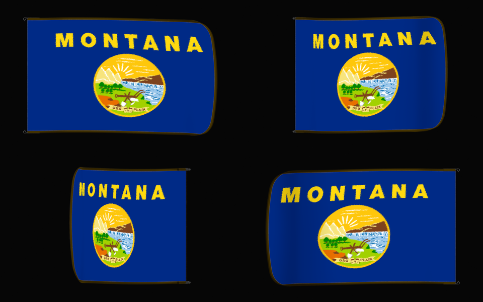 Montana State Flag Authentic Gameday Flag — clean black four-view contact proof showing Front Design, Front Flying, Back Flying, and Back Design — source_sha256=2290b0e679936acc8eadce2debfe4dca4bcf5cd8f0148d7ac5ddece49109b1b3
