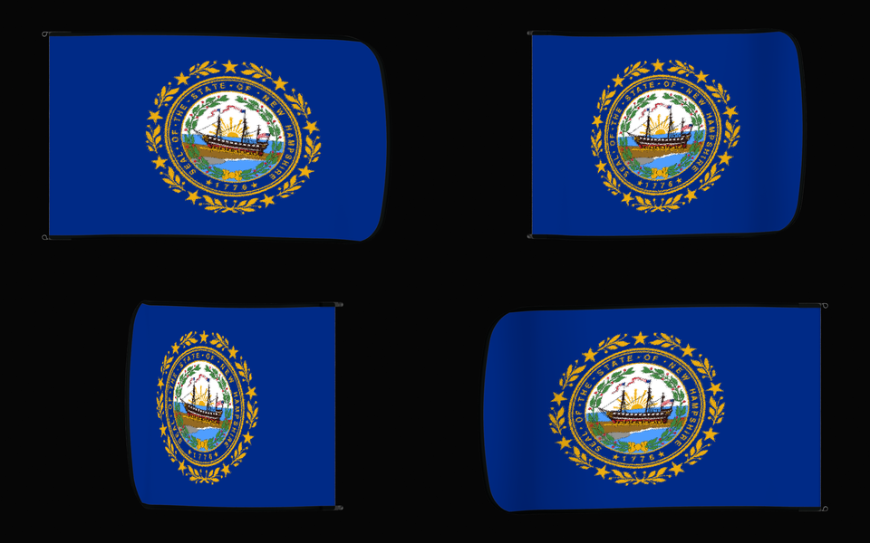 New Hampshire State Flag Authentic Gameday Flag — clean black four-view contact proof showing Front Design, Front Flying, Back Flying, and Back Design — source_sha256=271280698802c1218e534805139e46349eb0d8b0b4d9f964e14d89673a06c867