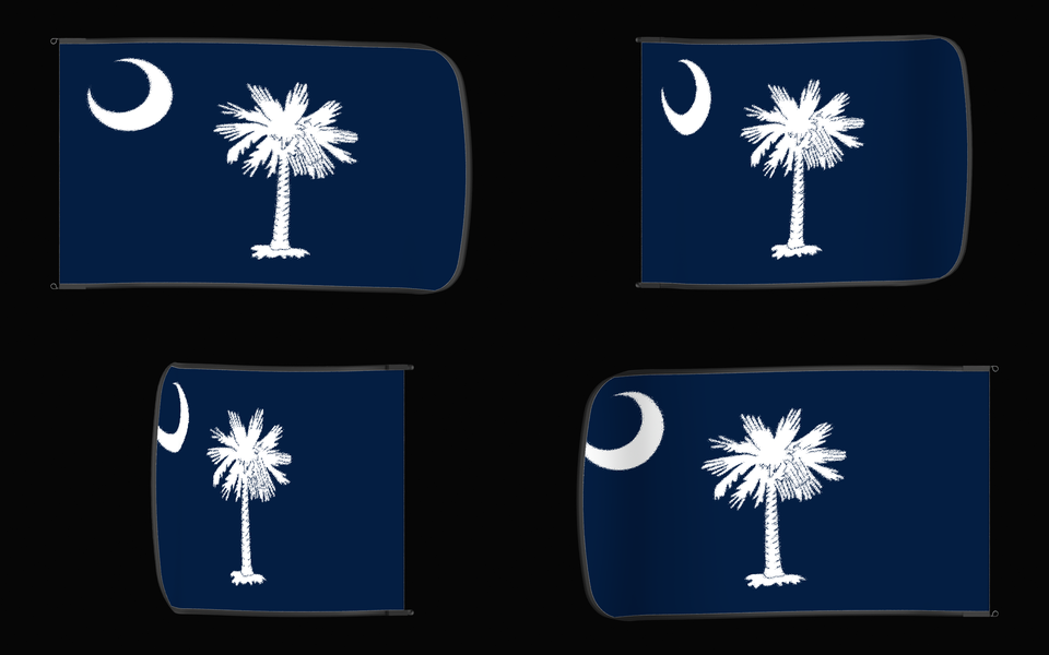 South Carolina State Flag Authentic Gameday Flag — clean black four-view contact proof showing Front Design, Front Flying, Back Flying, and Back Design — source_sha256=00200451d10ea4e1082f88a872aaa7f2aca942407fad9554ab9c3146f441a158
