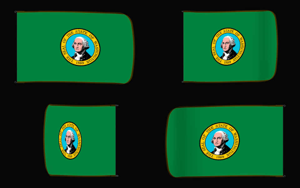 Washington State Flag Authentic Gameday Flag — clean black four-view contact proof showing Front Design, Front Flying, Back Flying, and Back Design — source_sha256=b4e410f9fd07b72f92207fb402670e003f9af0c40d4b835234604cabf680efa3