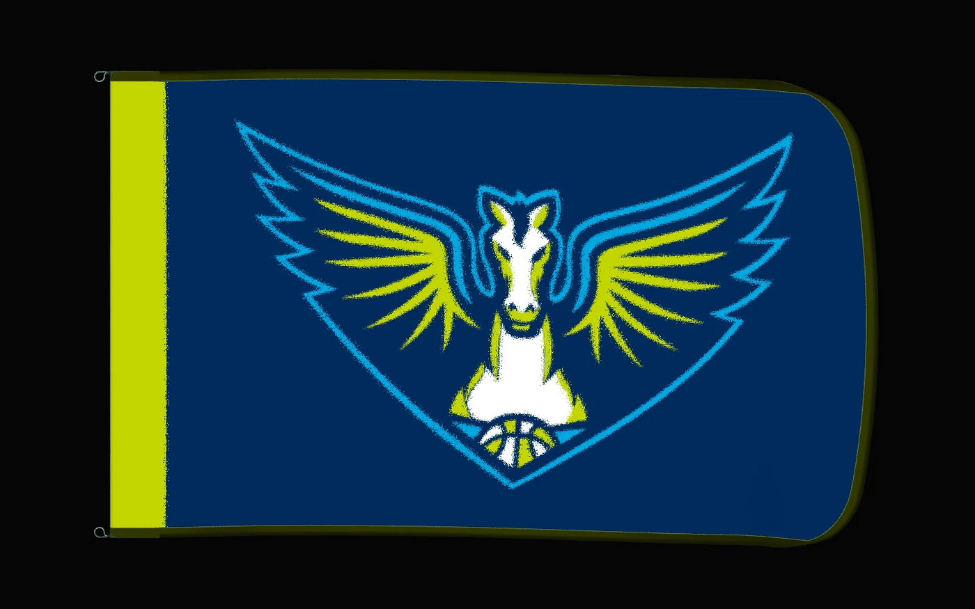 EXO rotating product view — Dallas Wings Authentic Gameday Flag — controlled catalog turntable