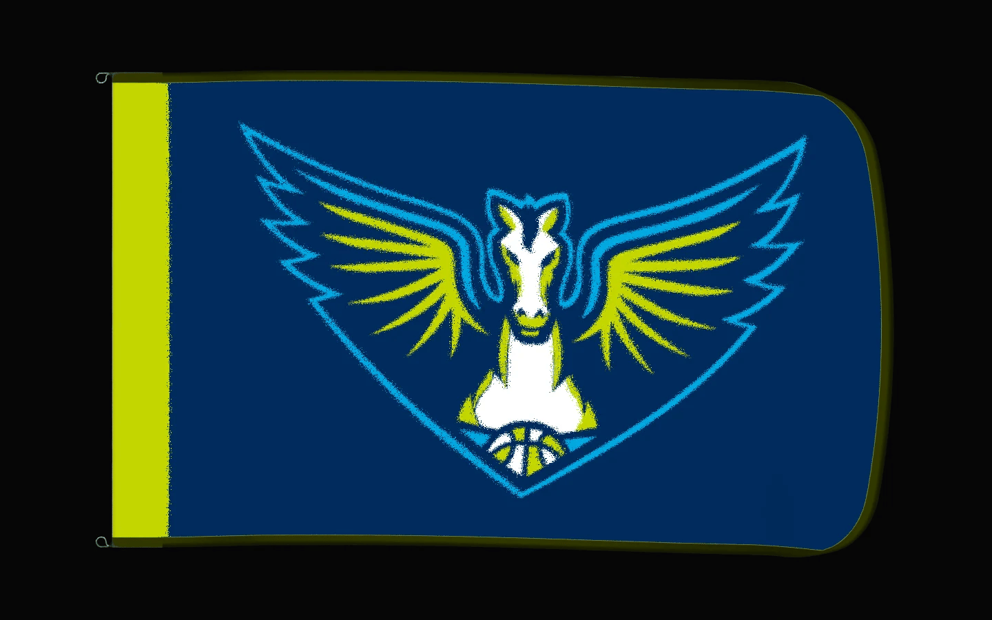 EXO rotating product view — Dallas Wings Authentic Gameday Flag — controlled catalog turntable