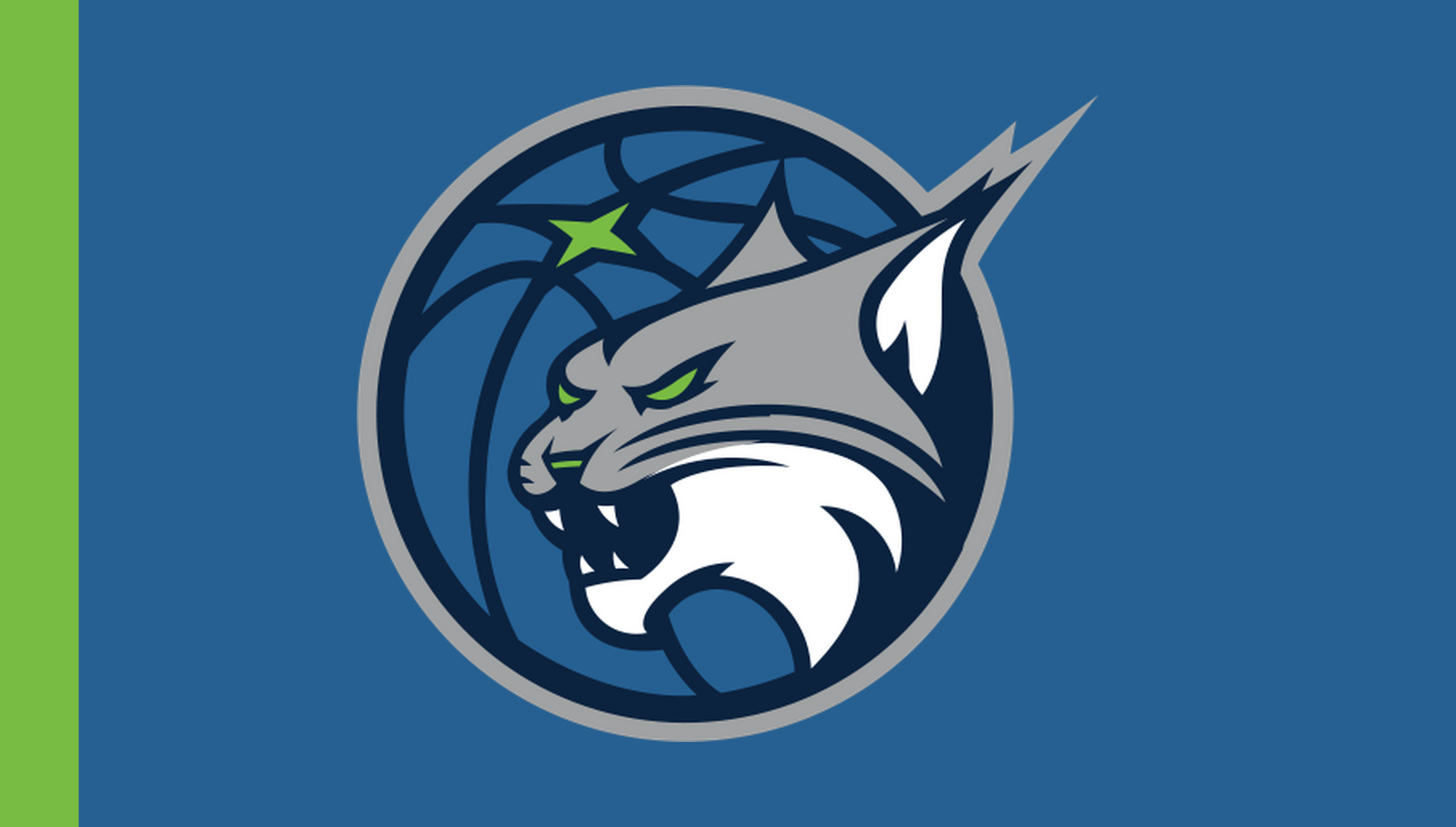gameday-wnba-current-r01/wnba-minnesota-lynx | Minnesota Lynx | Side A catalog field — source_sha256=91aa5a3997af3baa995fd23f4415f2d3b612c2d5a27c02800a83be7e8404cacb