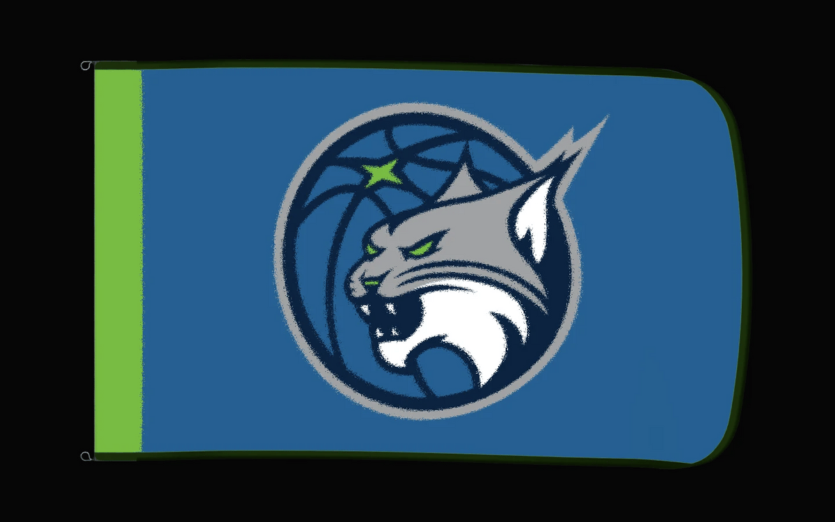 EXO rotating product view — Minnesota Lynx Authentic Gameday Flag — controlled catalog turntable