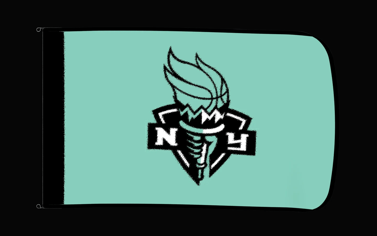 EXO rotating product view — New York Liberty Authentic Gameday Flag — controlled catalog turntable
