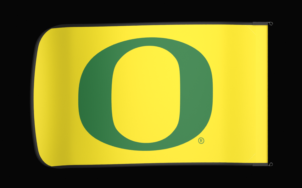 Authentic Gameday Flag
