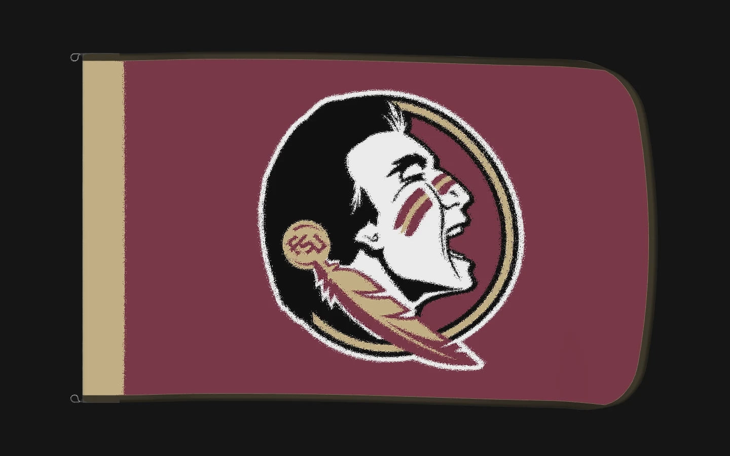 EXO rotating product view — Florida State Seminoles Authentic Gameday Flag — controlled catalog turntable