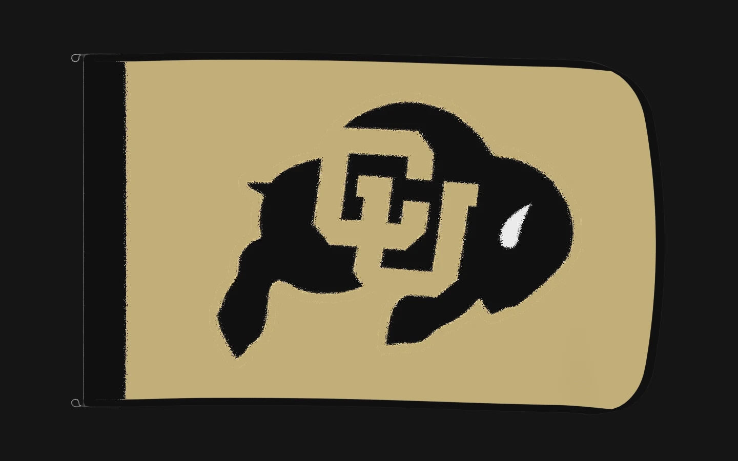 EXO rotating product view — Colorado Buffaloes Authentic Gameday Flag — controlled catalog turntable