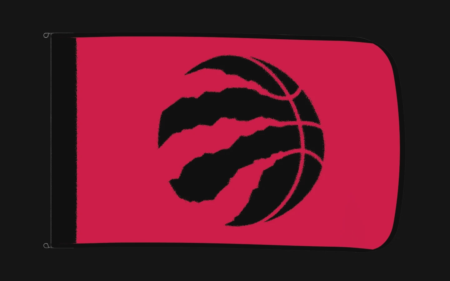 EXO rotating product view — Toronto Raptors Authentic Gameday Flag — controlled catalog turntable