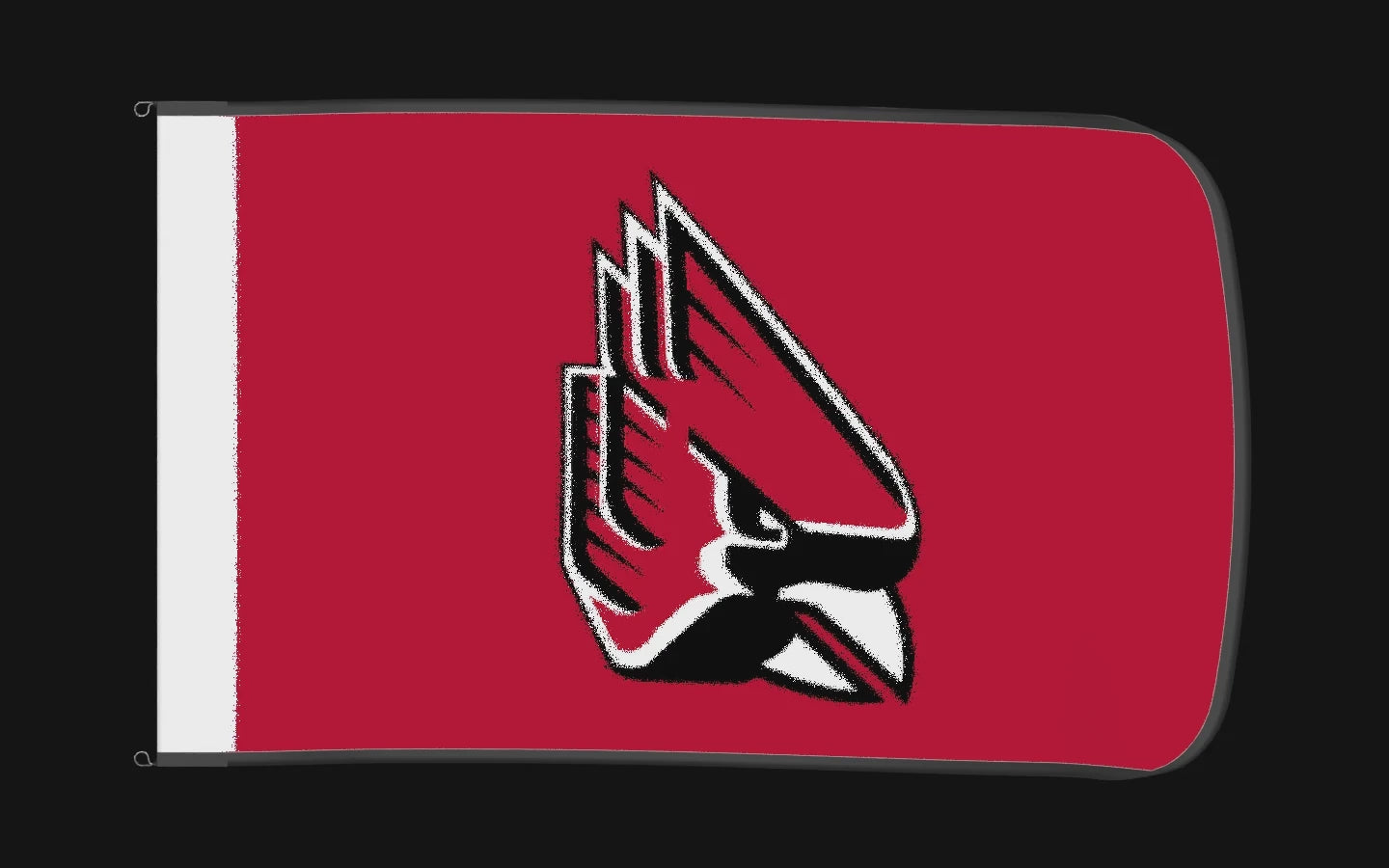 EXO rotating product view — Ball State Cardinals Authentic Gameday Flag — controlled catalog turntable