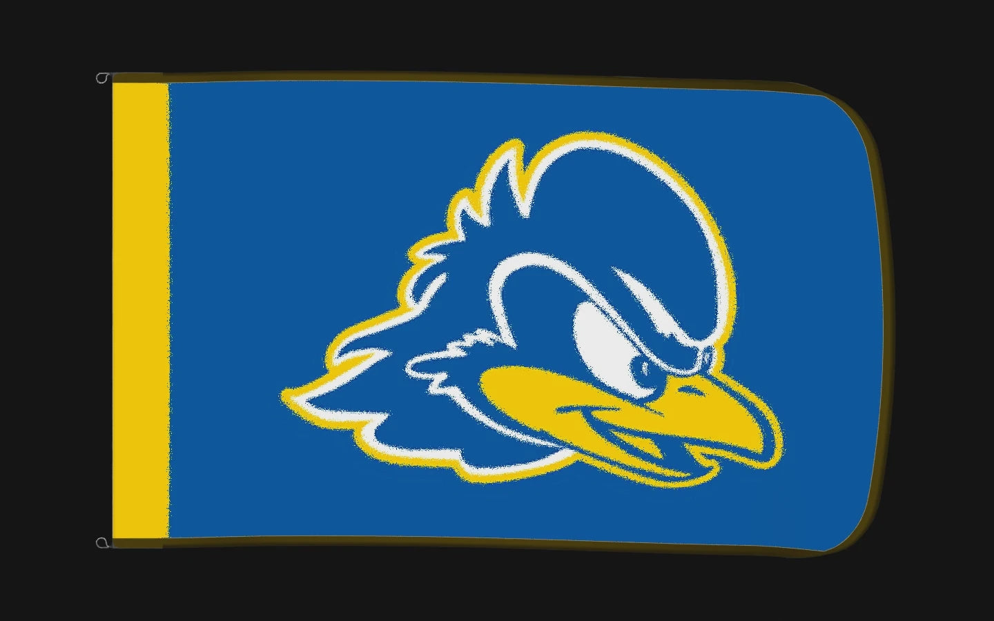 EXO rotating product view — Delaware Blue Hens Authentic Gameday Flag — controlled catalog turntable