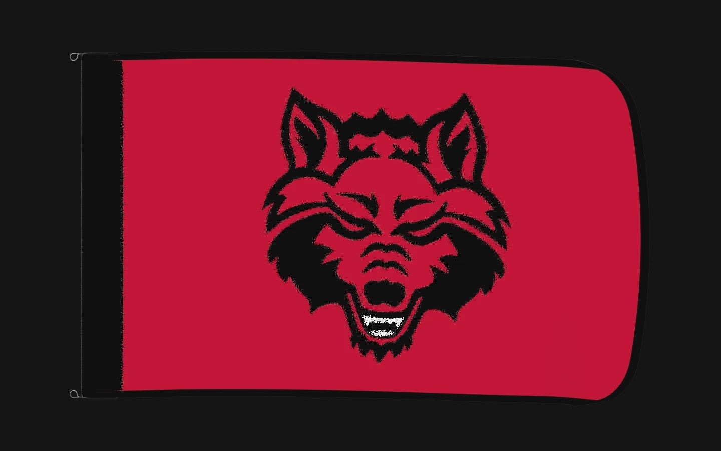 EXO rotating product view — Arkansas State Red Wolves Authentic Gameday Flag — controlled catalog turntable