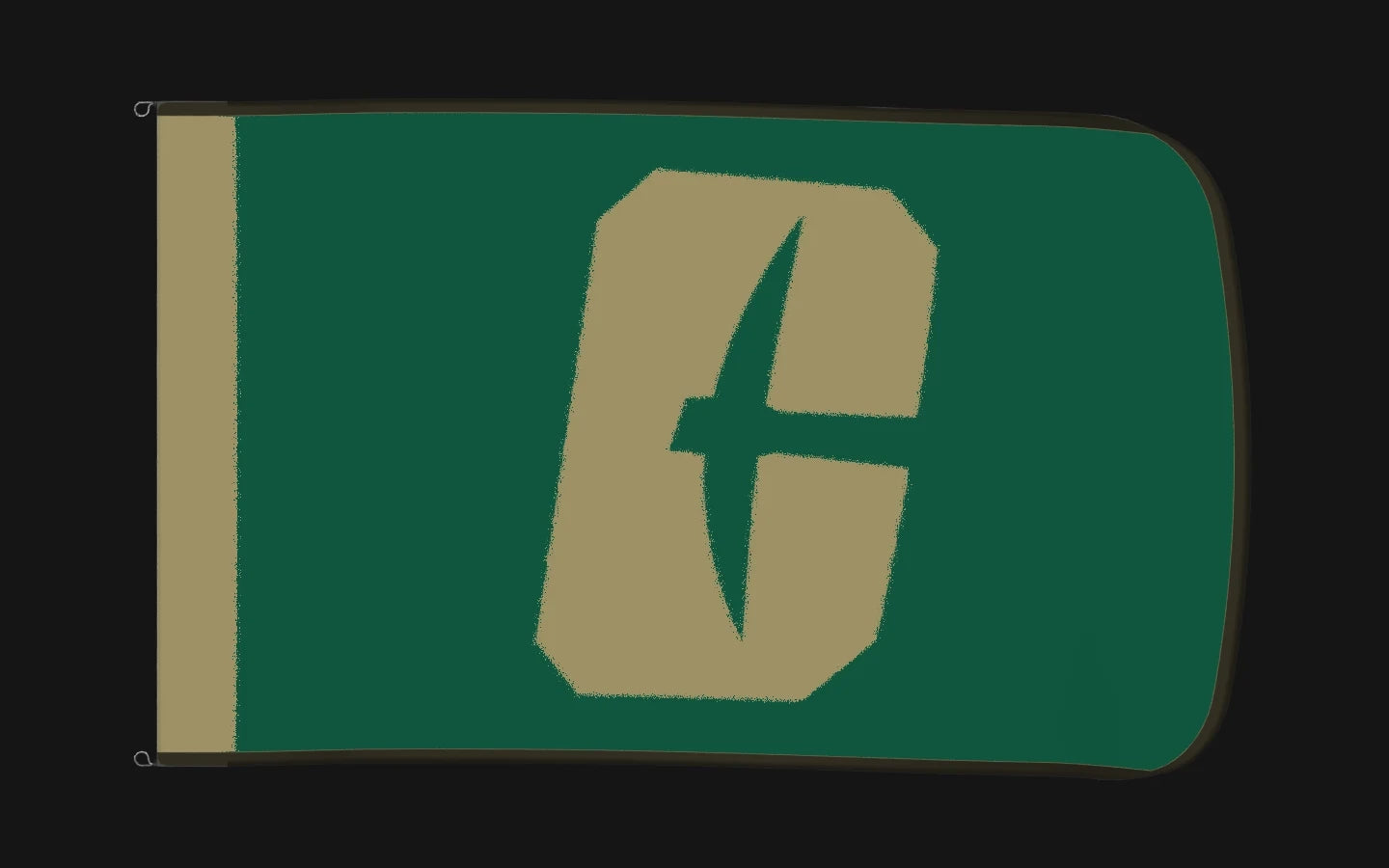 EXO rotating product view — Charlotte 49ers Authentic Gameday Flag — controlled catalog turntable