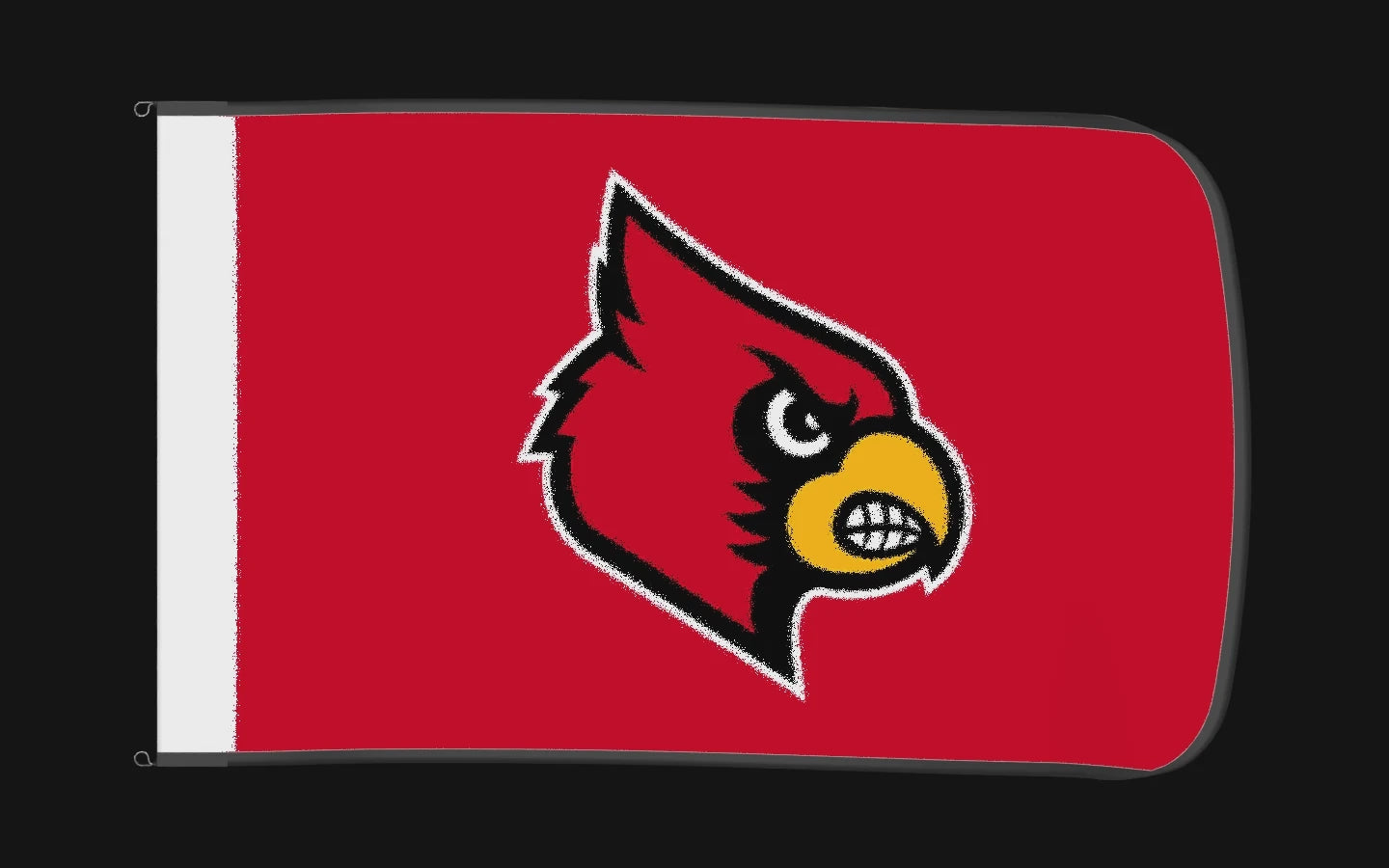 EXO rotating product view — Louisville Cardinals Authentic Gameday Flag — controlled catalog turntable
