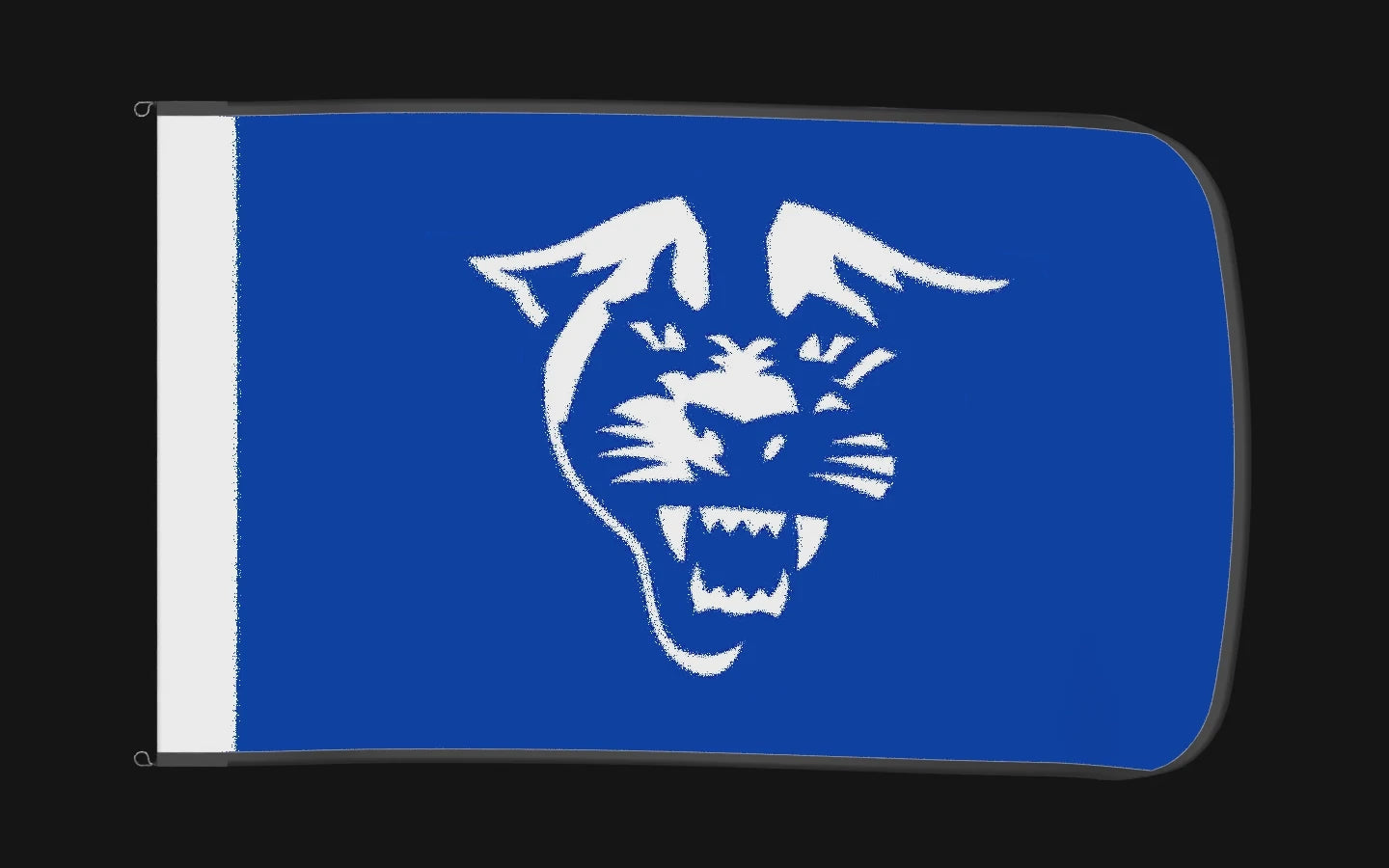 EXO rotating product view — Georgia State Panthers Authentic Gameday Flag — controlled catalog turntable