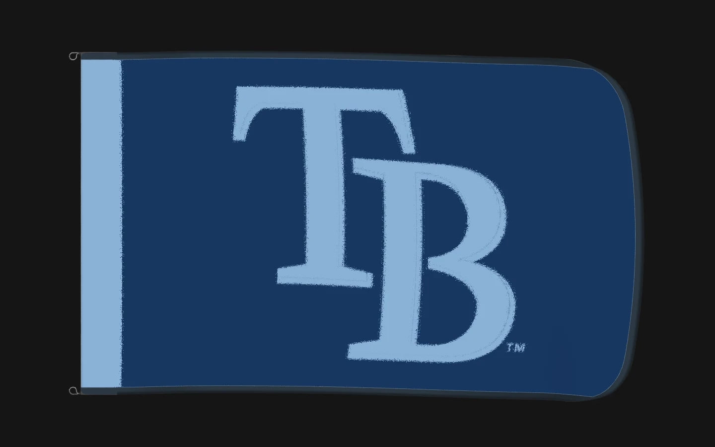 EXO rotating product view — Tampa Bay Rays Authentic Gameday Flag — controlled catalog turntable