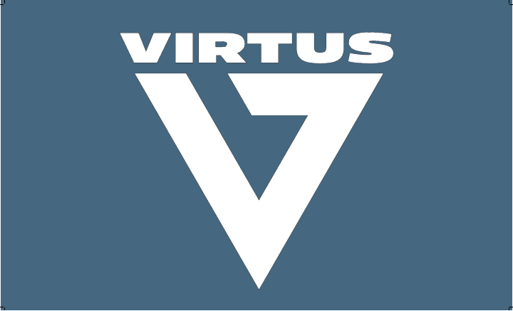 Virtus Vans reverse artwork proof